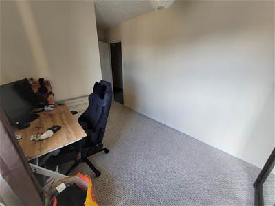 Picture 7